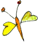 Schmetterling