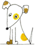 Hund